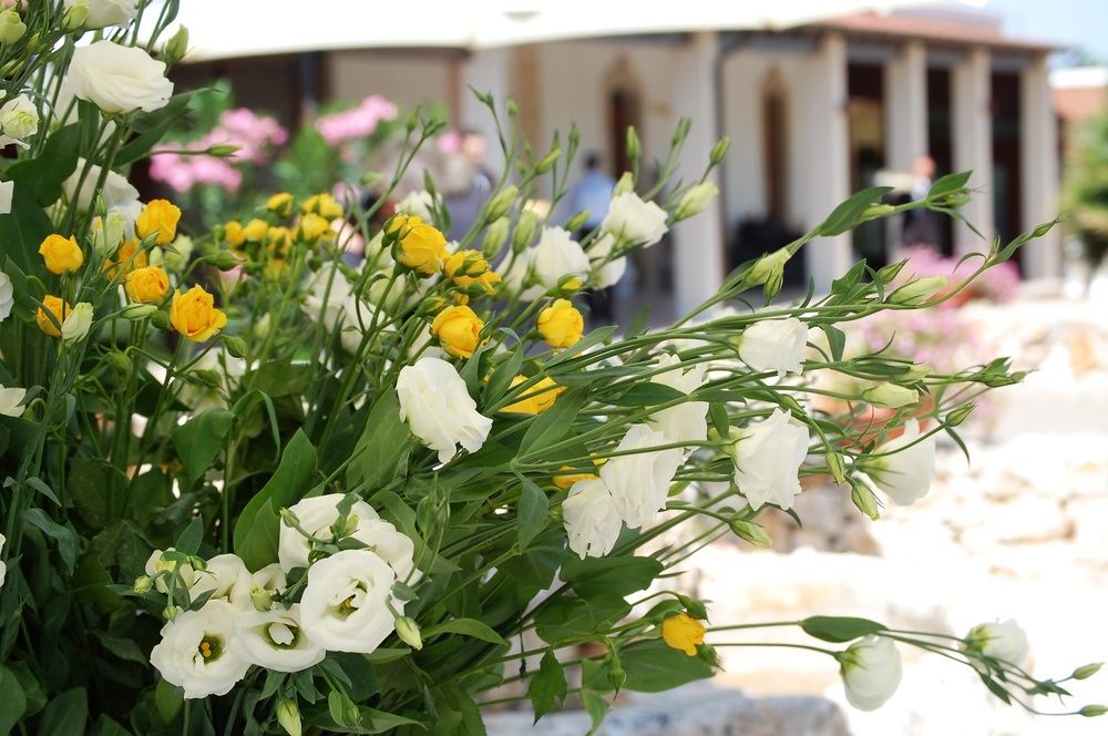 Masseria La Grande Quercia Hotel Mottola Bagian luar foto